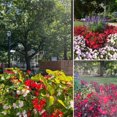 colorful flowers on the corners at Uptown Park