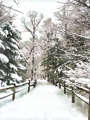 Scenic trail at Fred Greenwood after a fresh snowfall