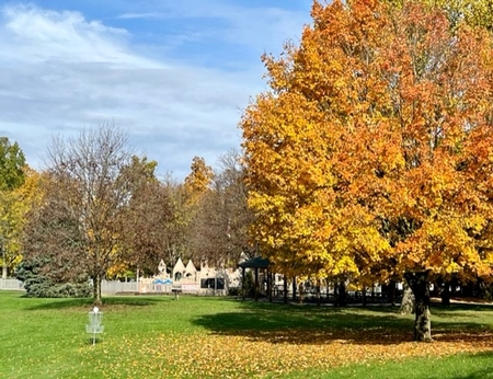 Memorial Park with Fall colors