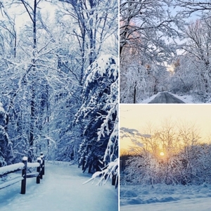 Winter scenes from different parks