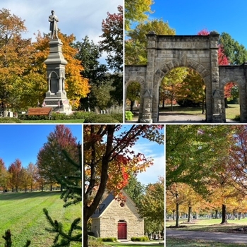 A grouping of 5 views showing fall colors