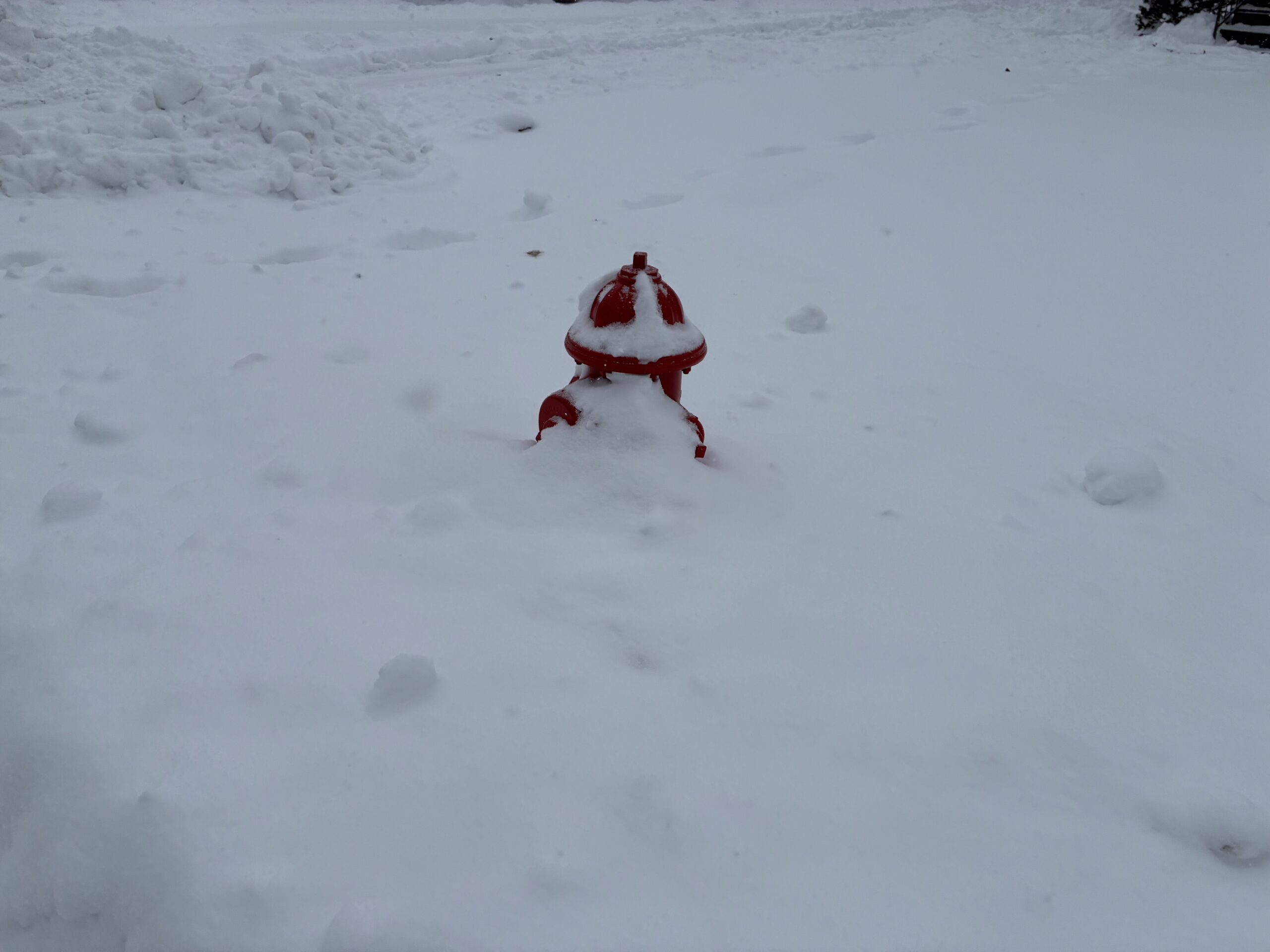 Red Fire Hydrant covered in snow.